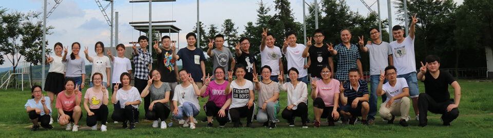 team